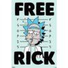 Αφίσες Anime, Animation – Rick and Morty, Free Rick