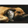 Αφίσες Γάτες, Σκύλοι – Kitty and Puppy