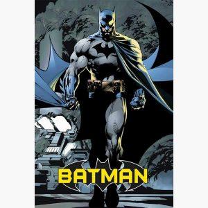 Αφίσες Marvel, Dc, Super Heroes - Batman, Comic