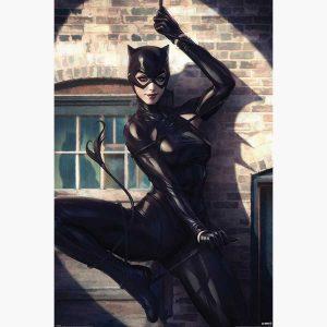 Αφίσες Marvel, Dc, Super Heroes - Catwoman (Spot Light)