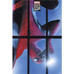 Αφίσες Marvel, Dc, Super Heroes - Spiderman, 80 Years