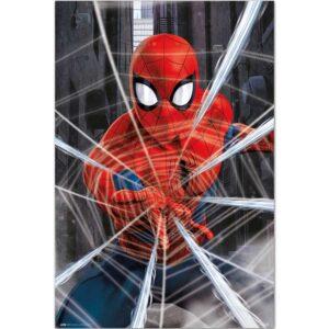 Αφίσες Marvel, Dc, Super Heroes - Spiderman, Gotcha