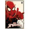 Αφίσες Marvel, Dc, Super Heroes – Spiderman, Thwip