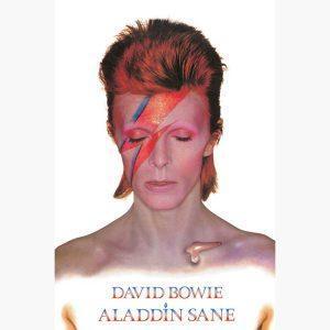 Αφίσες Μουσικής Old Bands & Singers - David Bowie (Aladdin Sane)
