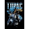 Αφίσες Μουσικής Pop, Rnb, Rap – Tupac Shakur (All Eyez Motorcycle)