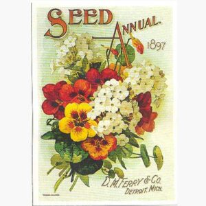 Αφίσες Παλιές Διαφημίσεις - Seed Annual