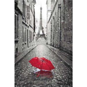 Αφίσες Τοπία, Πόλεις - Paris, Umbrella