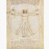 Αντίγραφα Ξένων Ζωγράφων – Leonardo da Vinci – Vitruvian man