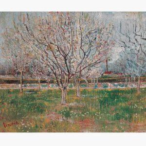 Αντίγραφα Ξένων Ζωγράφων - Vincent Van Gogh - Orchard in Blossom