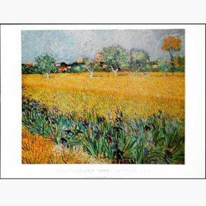 Αντίγραφα Ξένων Ζωγράφων – Vincent Van Gogh – Vista Di Arles Con Iris