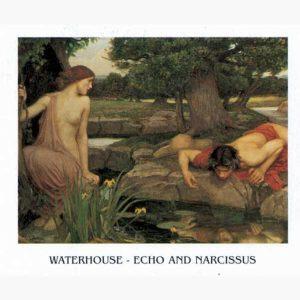 Αντίγραφα Ξένων Ζωγράφων - Waterhouse Echo And Narcissus