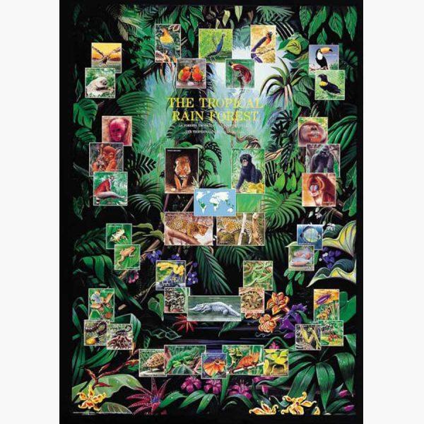 Εκπαιδευτικές Αφίσες - The Tropical Rain Forest