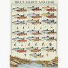 Εκπαιδευτικές Αφίσες – Trout, Salmon and Char