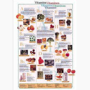 Εκπαιδευτικές Αφίσες - Vitamins