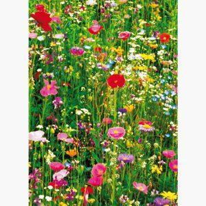 Φωτοταπετσαρίες - Flower Field