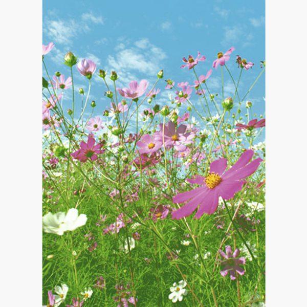 Φωτοταπετσαρίες - Flower Meadow