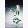 Φωτοταπετσαρίες – David Jay Zimmermann Crystal Flower