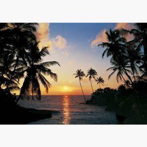 Φωτοταπετσαρίες – Tropical Sundown