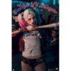 Κινηματογραφικές Αφίσες -DC Universe, Harley Quinn, Suicide Squad