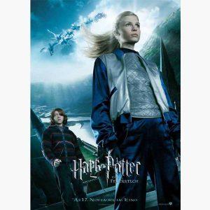 Κινηματογραφικές Αφίσες - Harry Potter