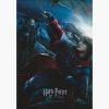 Κινηματογραφικές Αφίσες – Harry Potter