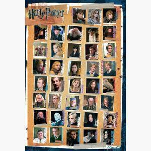 Κινηματογραφικές Αφίσες - Harry Potter, Characters