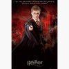 Κινηματογραφικές Αφίσες – Harry Potter, And the Order of the Phoenix