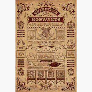 Κινηματογραφικές Αφίσες - Harry Potter (Quidditch At Hogwarts)