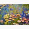 Puzzle – Claude Monet, Nympheas