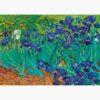 Puzzle – Vincent Van Gogh, Irises, 1889