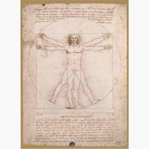 Puzzle - Leonardo Da Vinci, Scema Delle Proporzioni