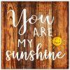 Ξύλινη Πινακίδα – You are my Sunshine